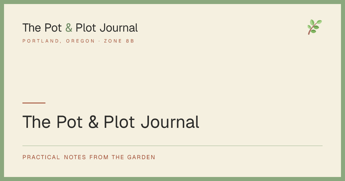 The Pot & Plot Journal — Practical notes from the garden